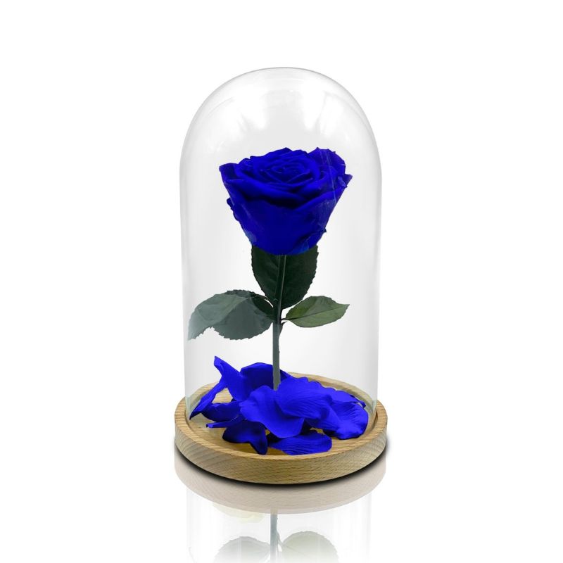 rosa blu